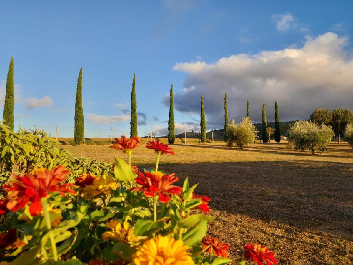 Podere Molinaccio Panicale Exteriér fotografie