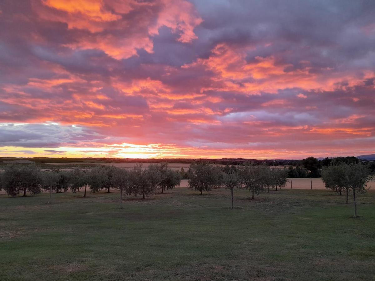 Podere Molinaccio Panicale Exteriér fotografie