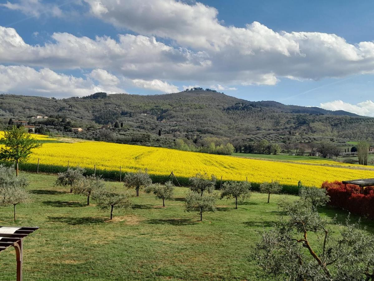 Podere Molinaccio Panicale Exteriér fotografie