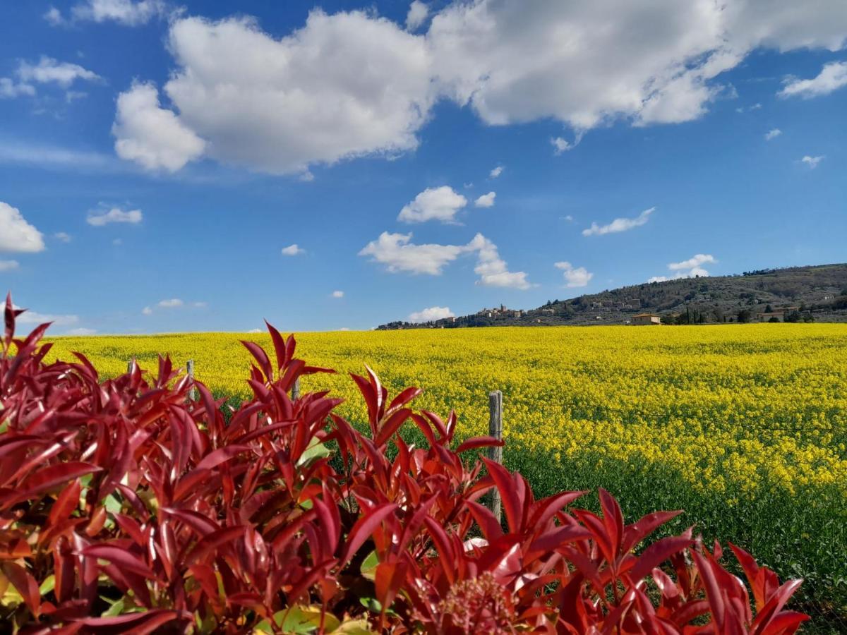 Podere Molinaccio Panicale Exteriér fotografie