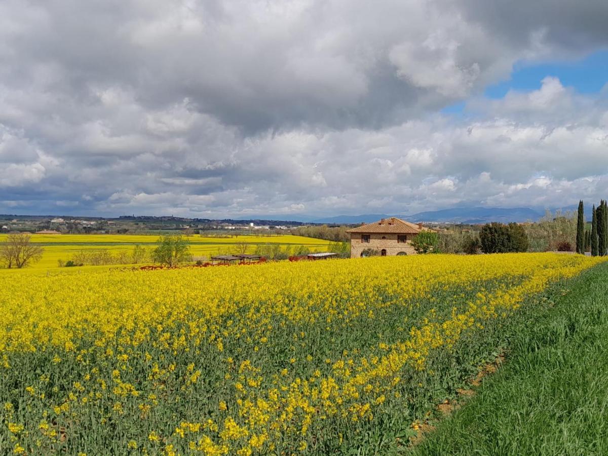 Podere Molinaccio Panicale Exteriér fotografie