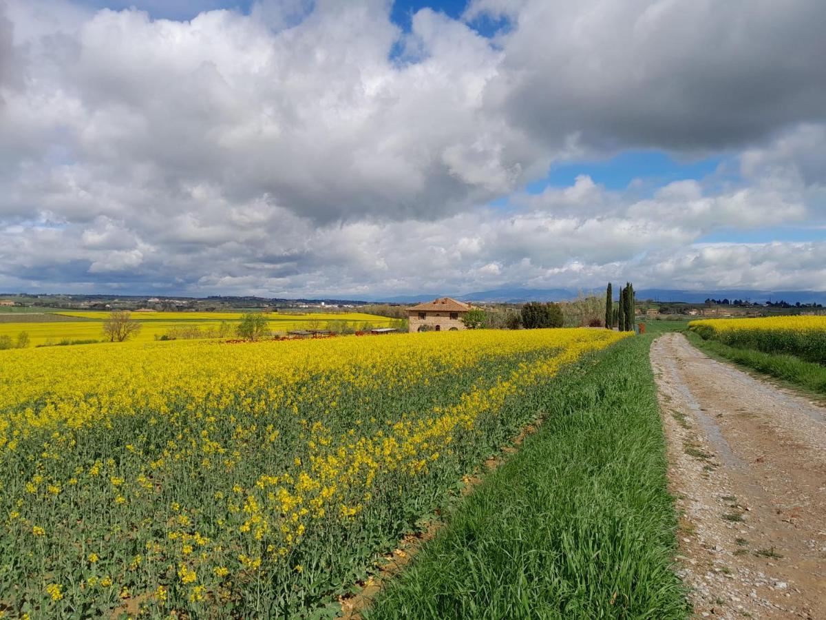 Podere Molinaccio Panicale Exteriér fotografie