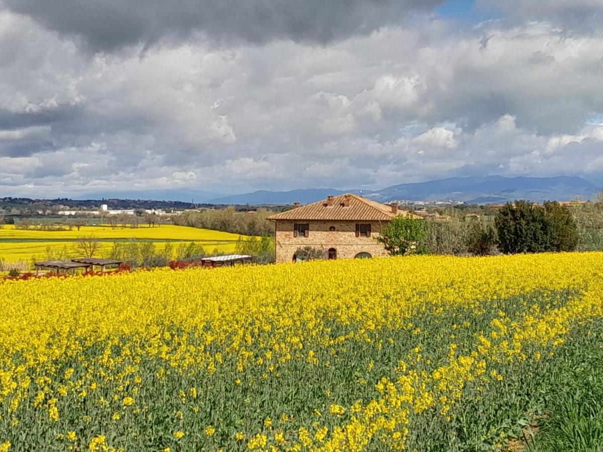 Podere Molinaccio Panicale Exteriér fotografie