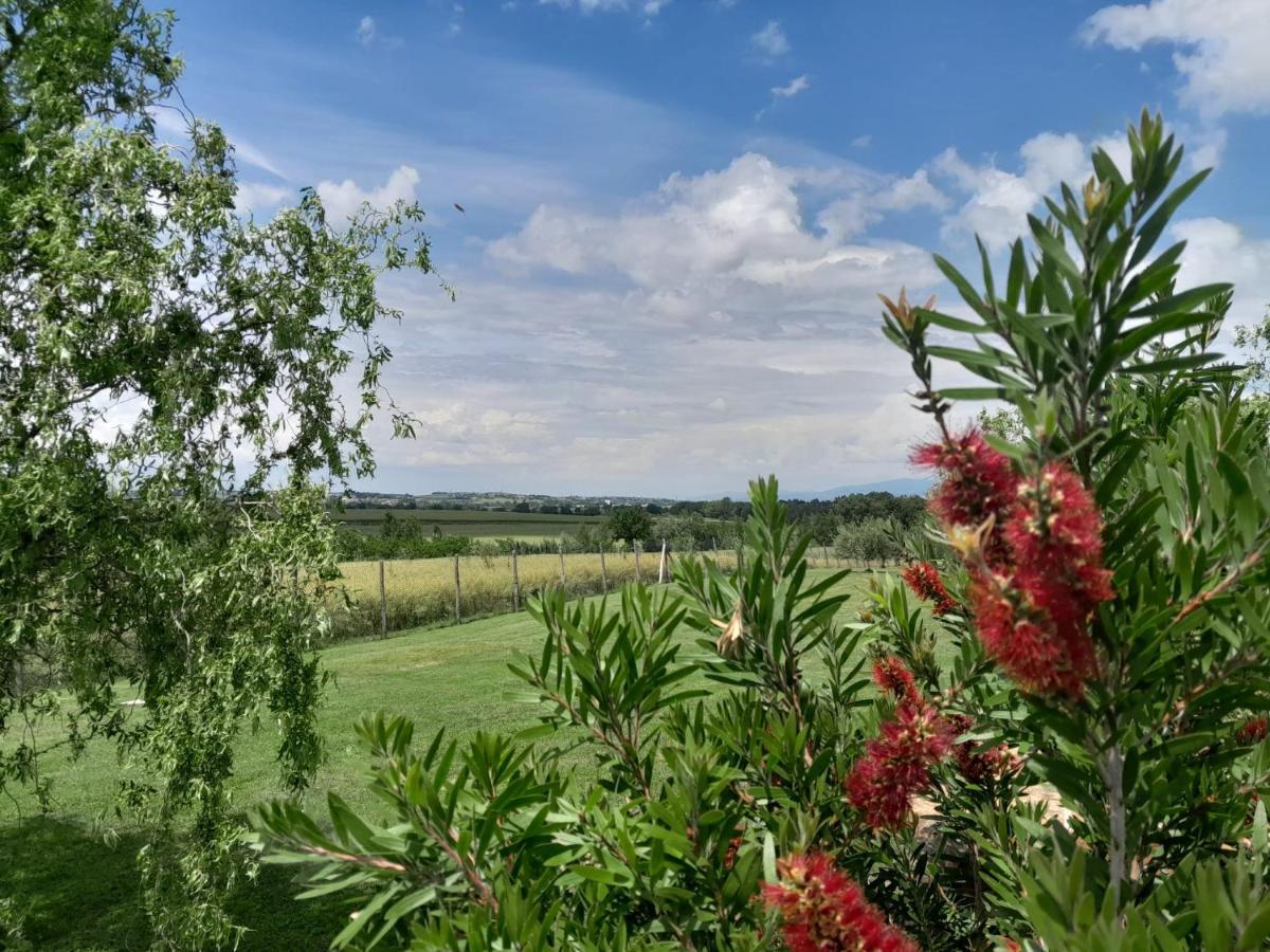 Podere Molinaccio Panicale Exteriér fotografie