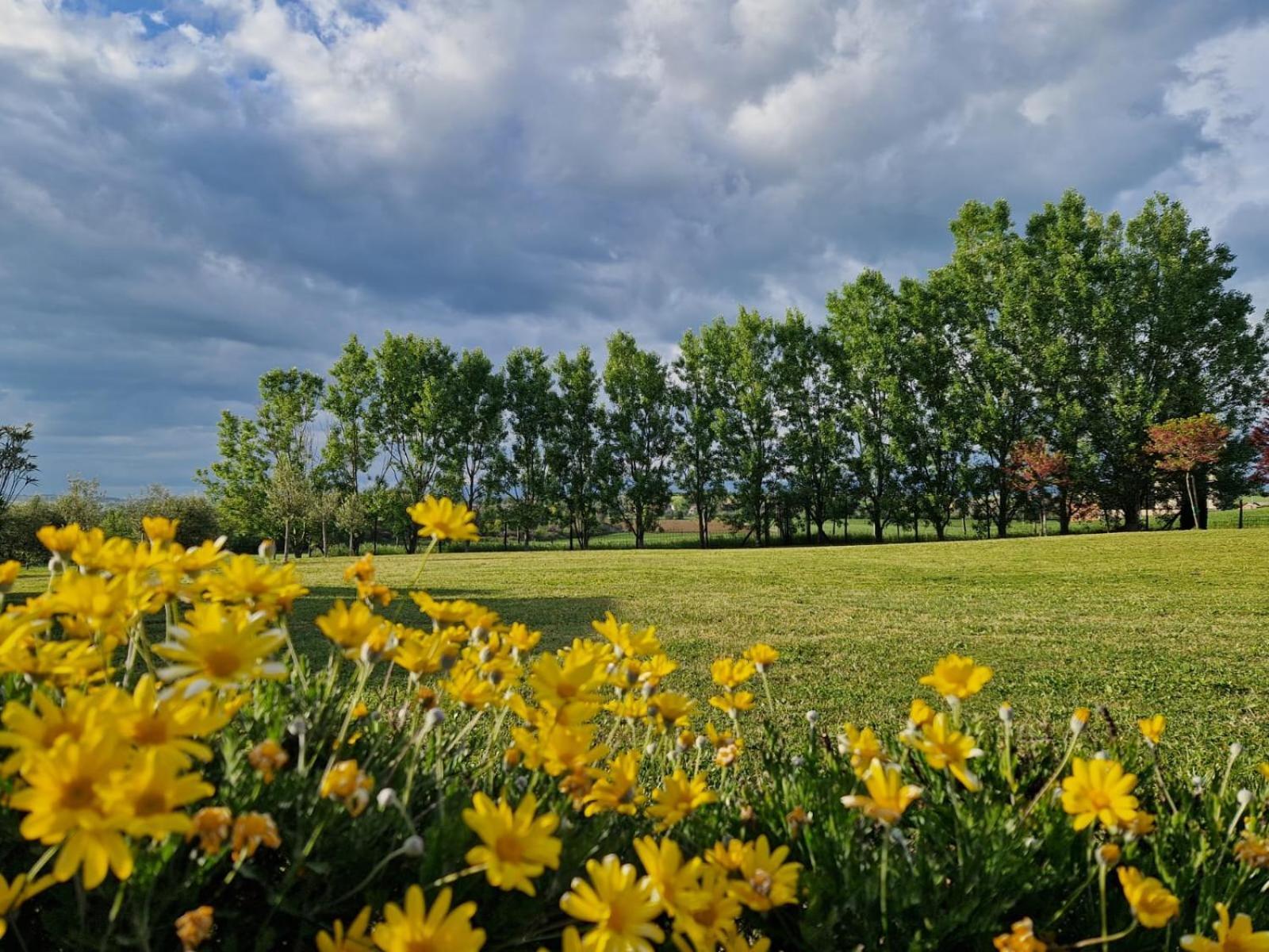 Podere Molinaccio Panicale Exteriér fotografie