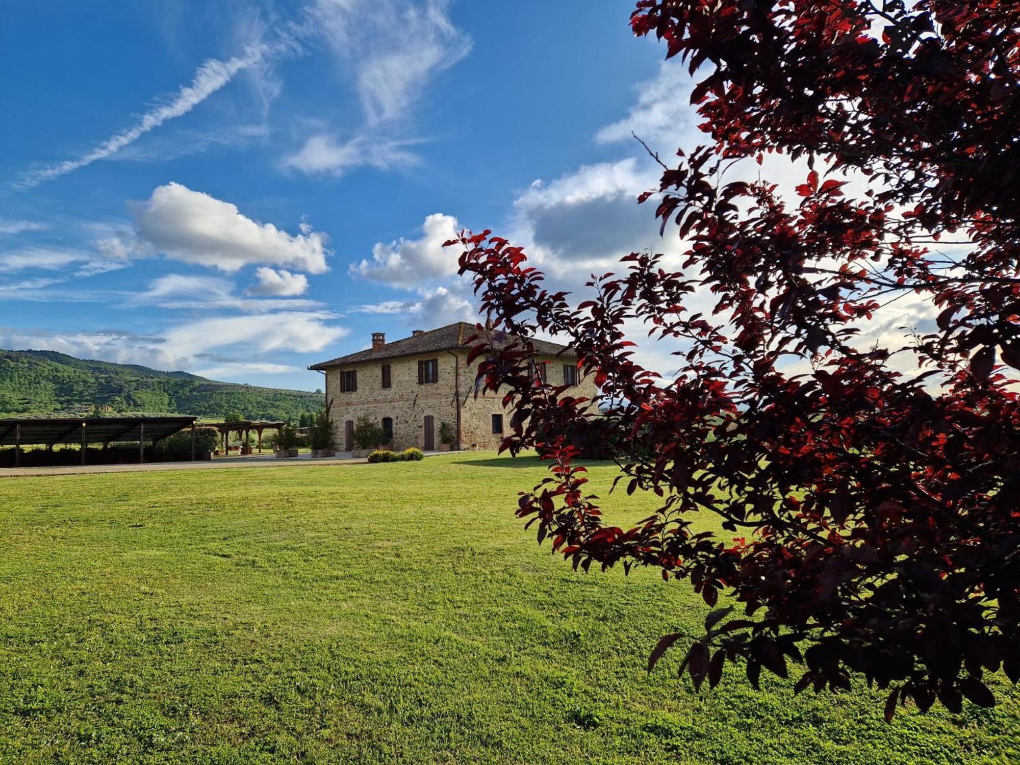 Podere Molinaccio Panicale Exteriér fotografie