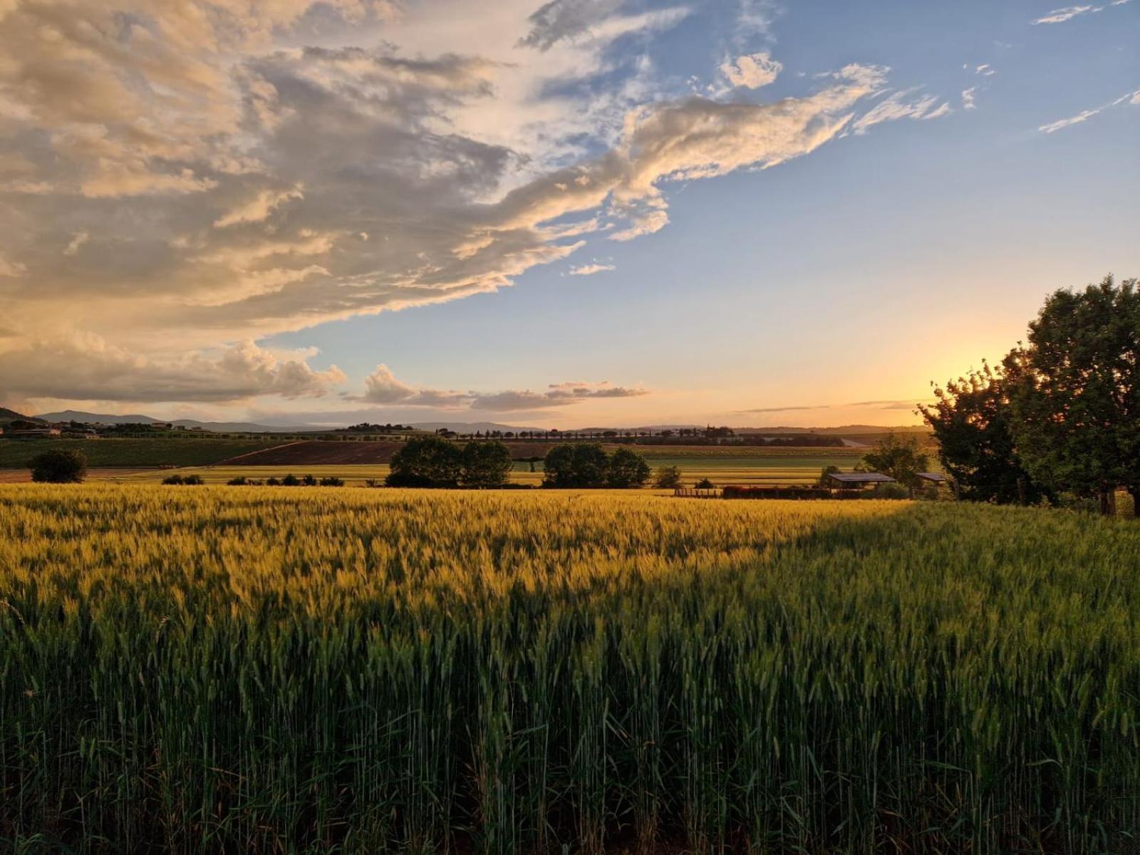 Podere Molinaccio Panicale Pokoj fotografie