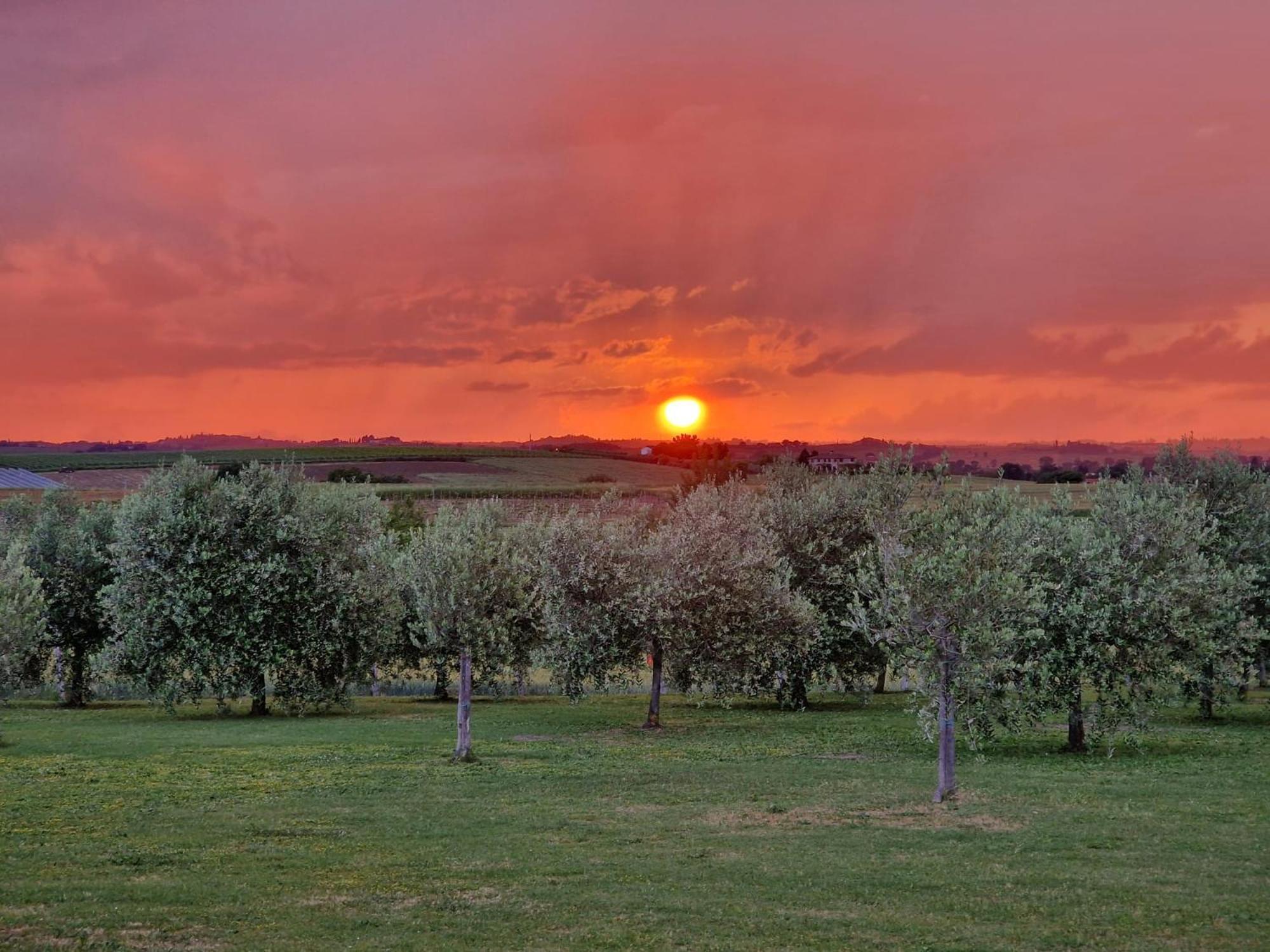 Podere Molinaccio Panicale Exteriér fotografie