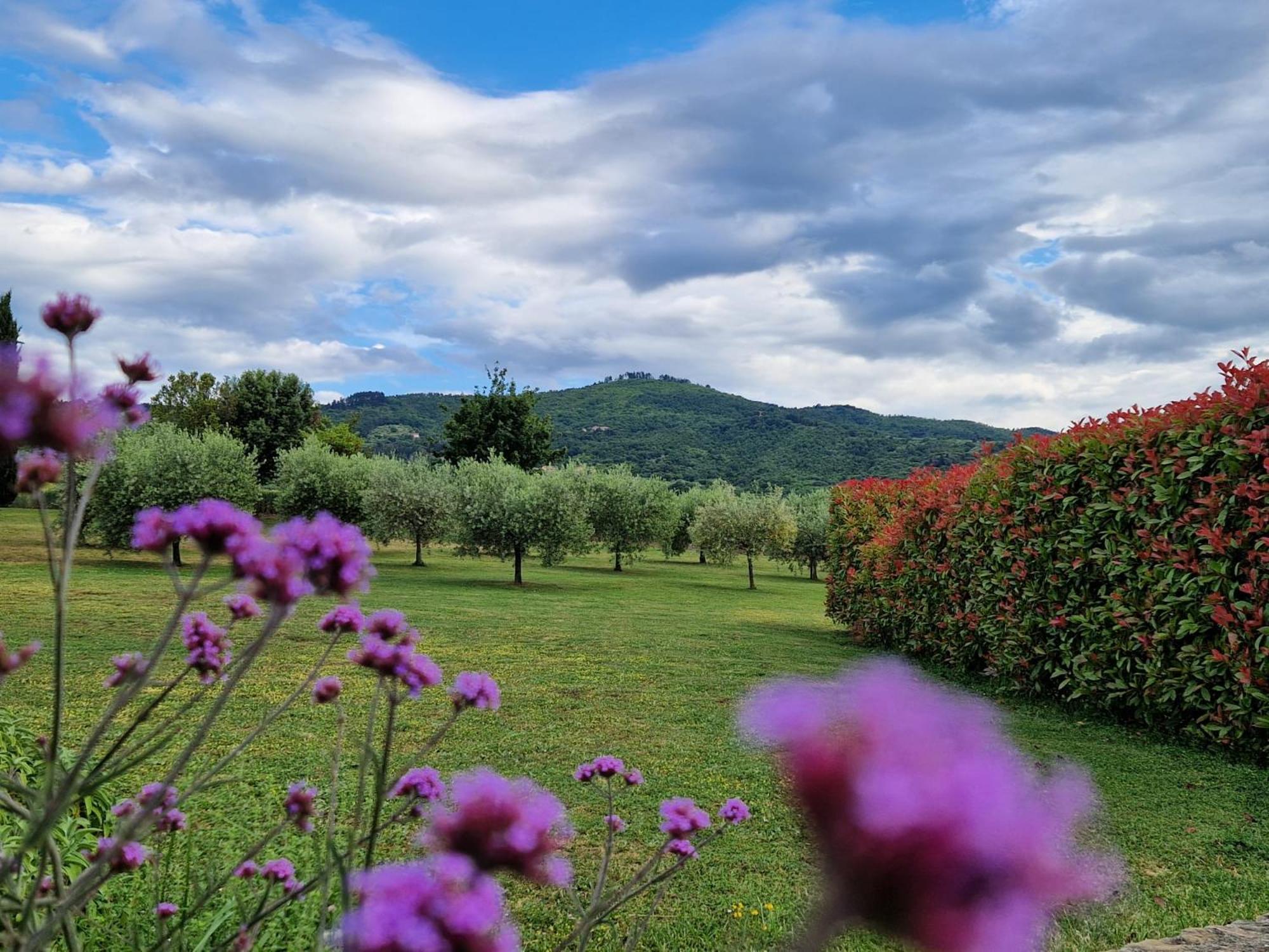 Podere Molinaccio Panicale Exteriér fotografie