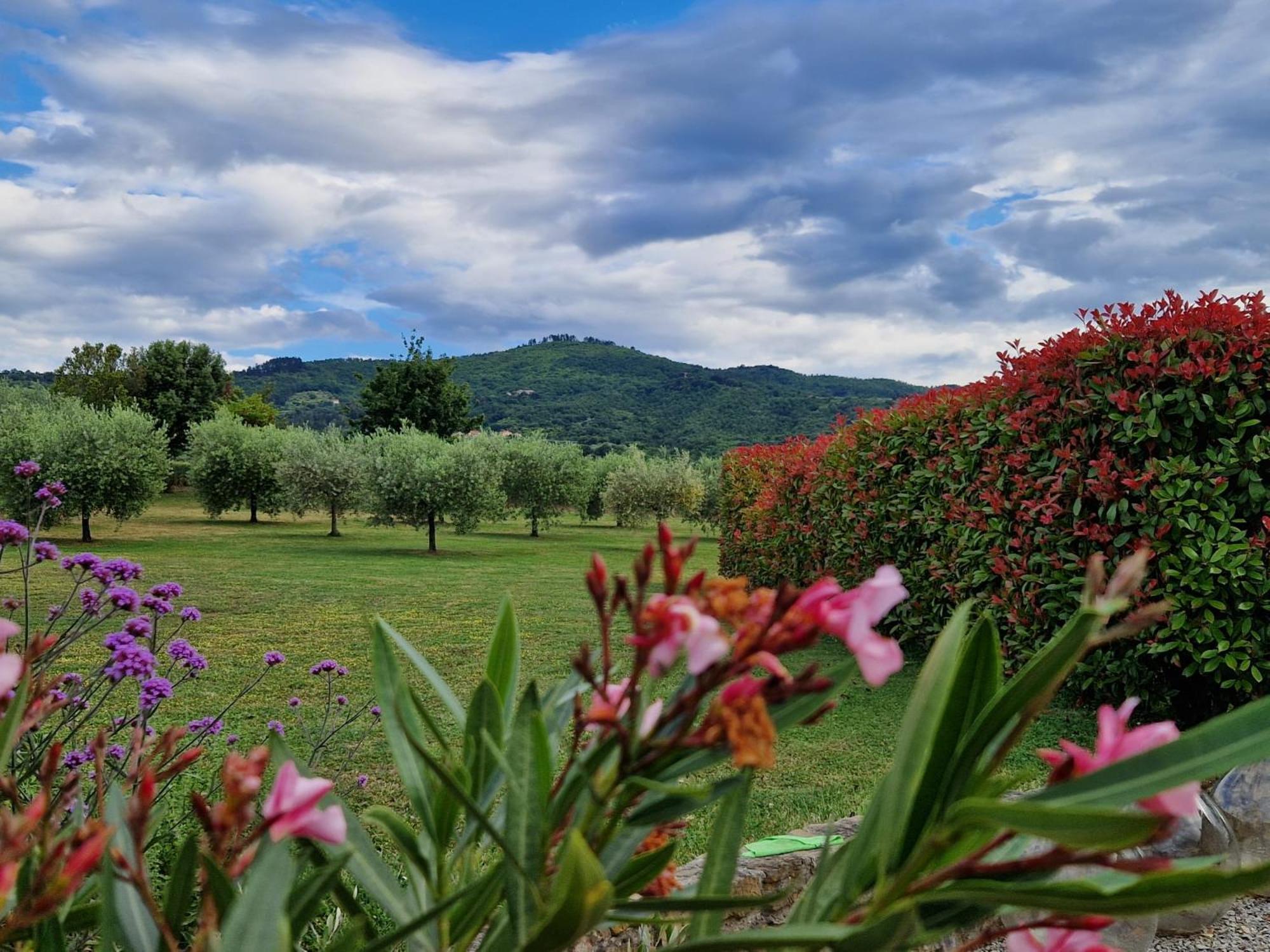 Podere Molinaccio Panicale Exteriér fotografie
