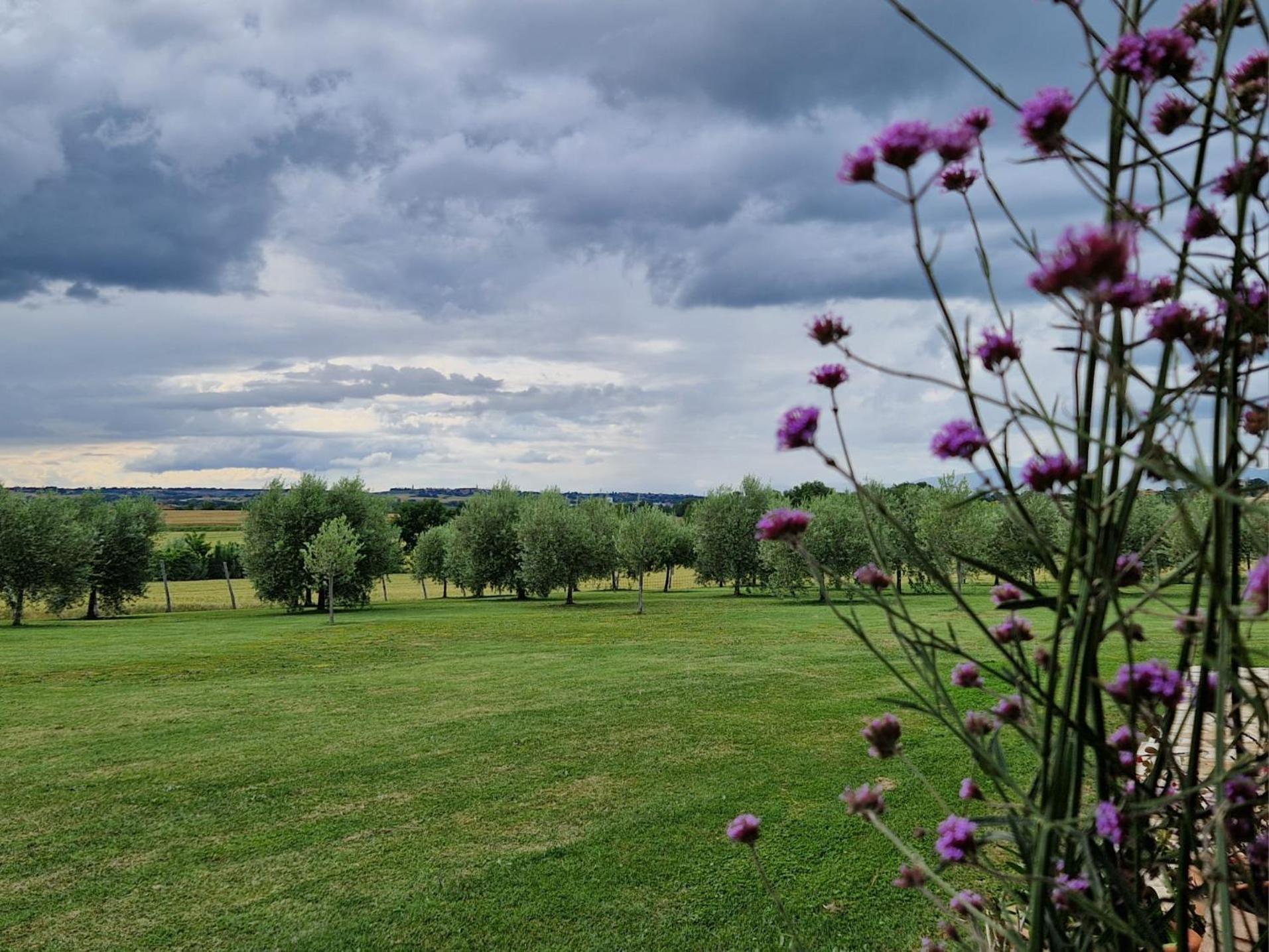 Podere Molinaccio Panicale Exteriér fotografie