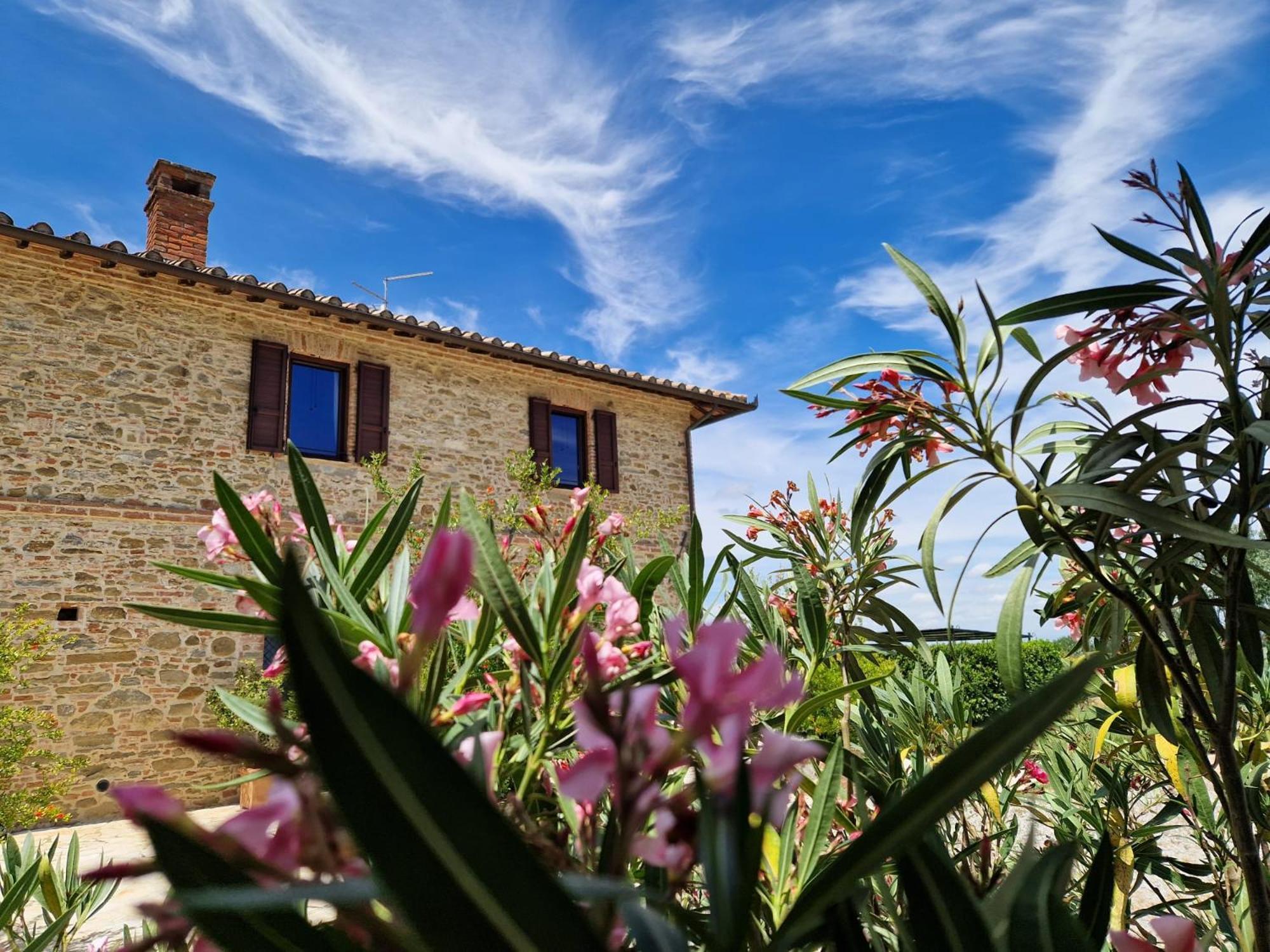 Podere Molinaccio Panicale Exteriér fotografie