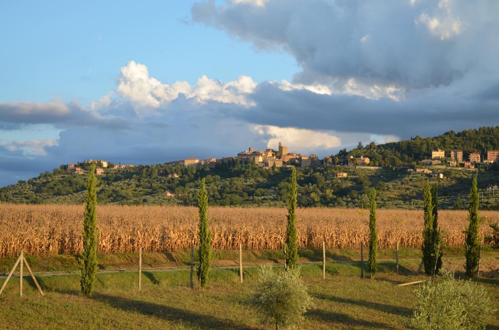 Podere Molinaccio Panicale Pokoj fotografie